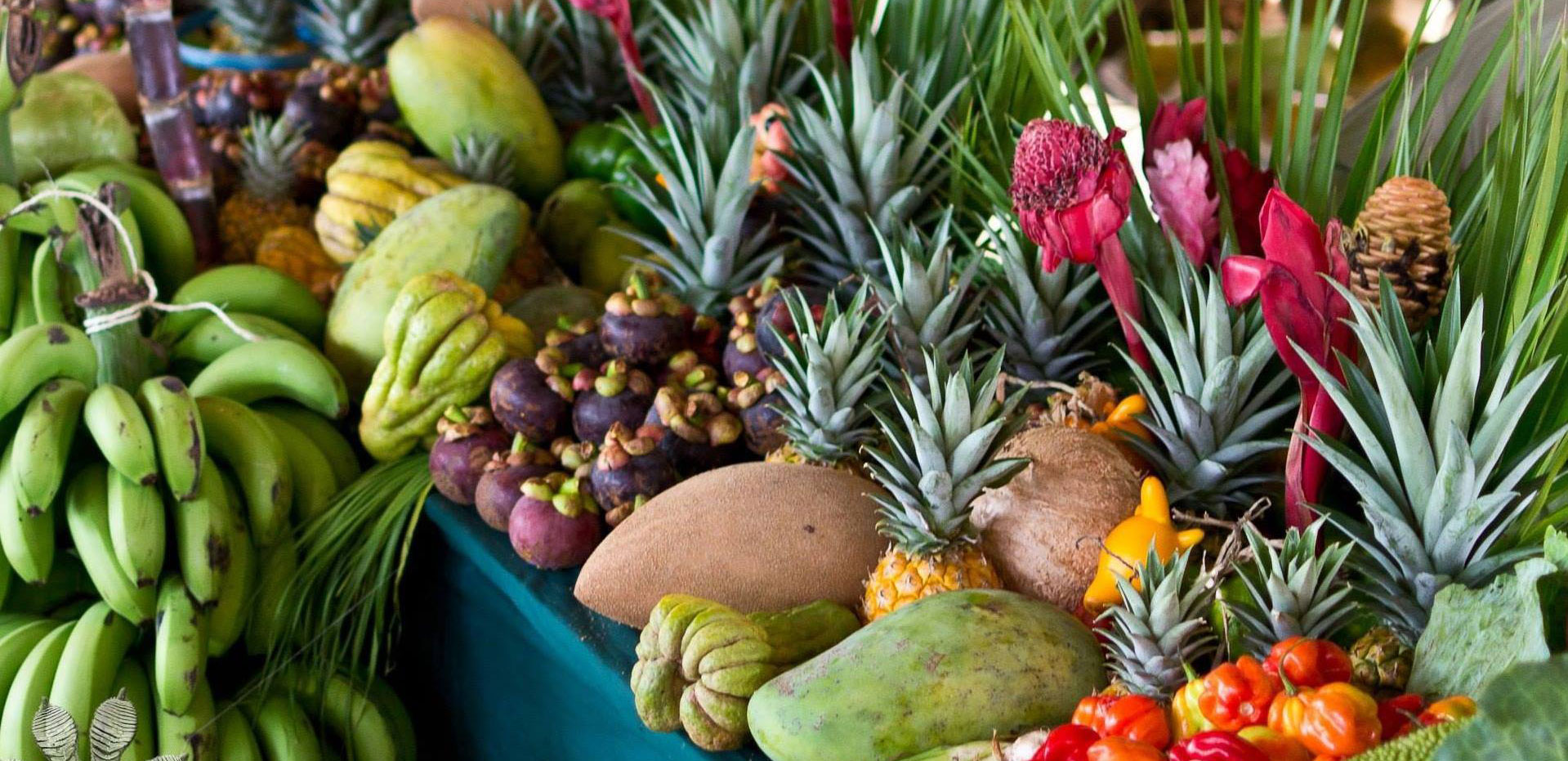 The National Agriculture & Trade Show 2019 Agriculture