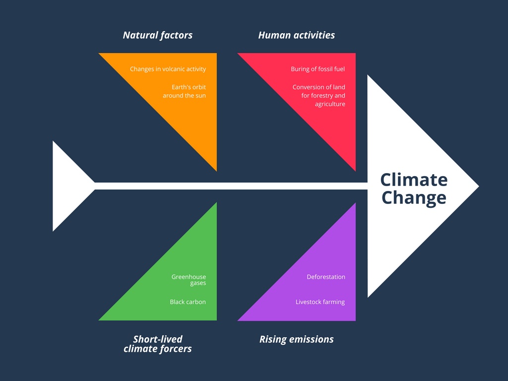 Colorful Climate Change Fishbone Diagram  U2013 Agriculture